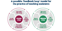 Infographic showing a possible feedback loop model for the practice of teaching assistants