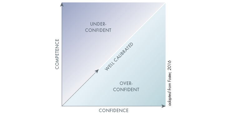 Infographic displaying confidence and competence assessments levels in mathematics learning