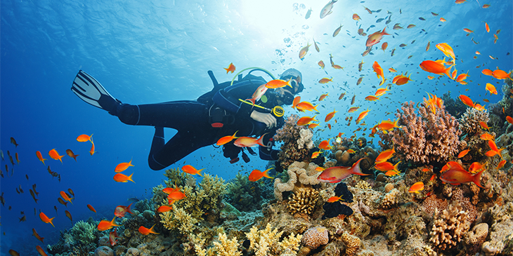 Scuba diver with colourful fish on a coral reef