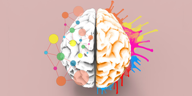 A graphical image of a brain showing an analytical and creative side