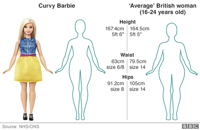 A curvy barbie with an outlined version next to it displaying different dimensions, alongside the outlines and dimensions of an average British woman