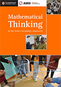 Maths thinking cover
