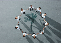 Group of children photographed from above on a tarmac surface with a tree painted on the ground inbetween them